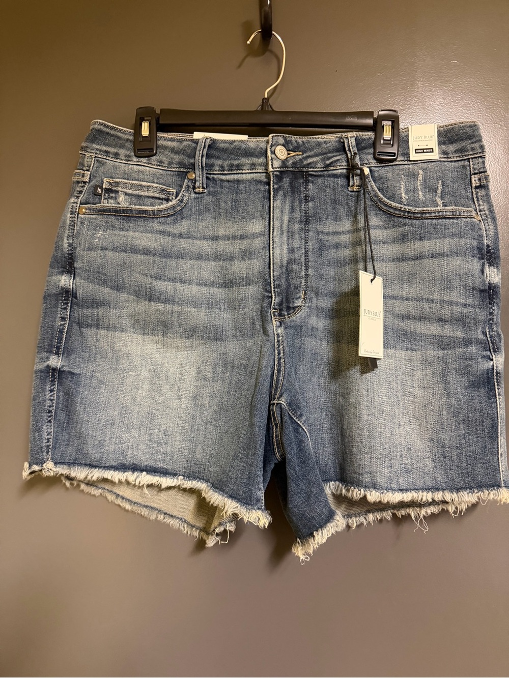 Judy Blue Light Blue Frayed Hem Denim Shorts